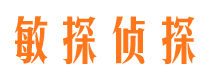 旬阳侦探公司